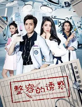 整容的诱惑 海报