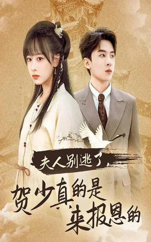 《夫人别逃了贺少真的是来报恩的》：霸总甜宠剧新高度？深度解读与情感共鸣