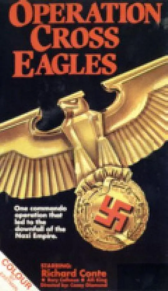 《十字鹰行动》：一场惊心动魄的二战空战传奇，勇气与牺牲的史诗赞歌！