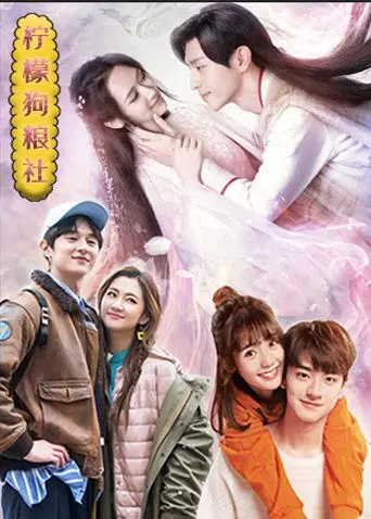 《柠檬狗粮社》：爱与成长中的意外惊喜，当狗狗也开始懂得什么是真挚的缘分